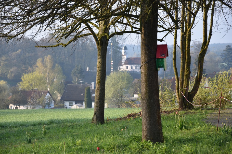 Blick ins Dorf 